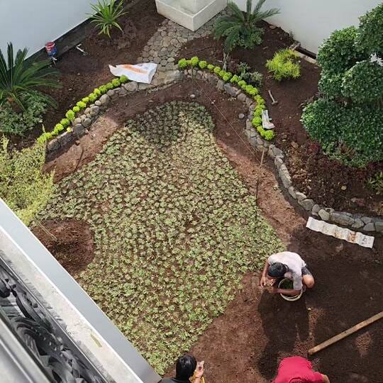 Proyek Taman